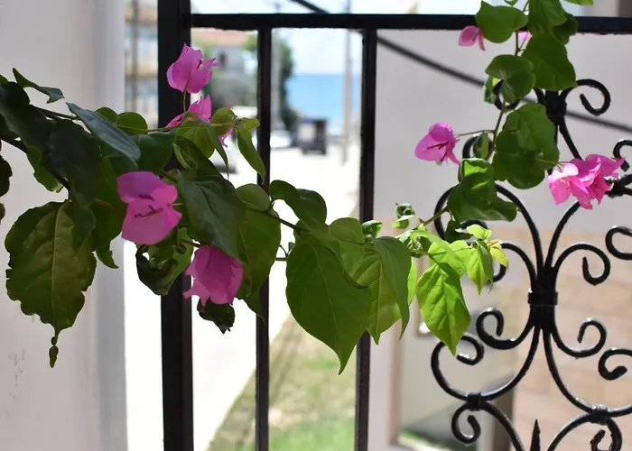Ephelia Gold Apart-hotel Laganas
